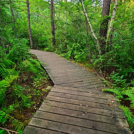 Shark River Park