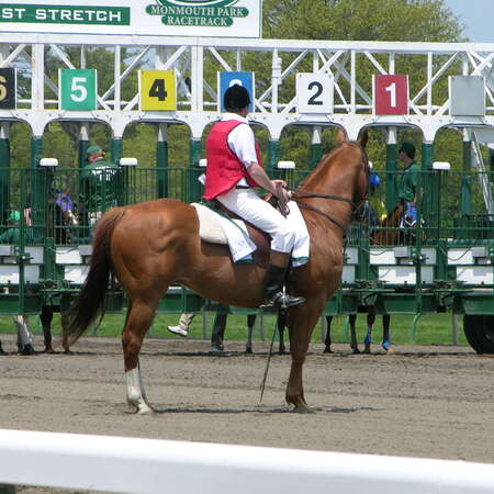 Monmouth Park Racetrack