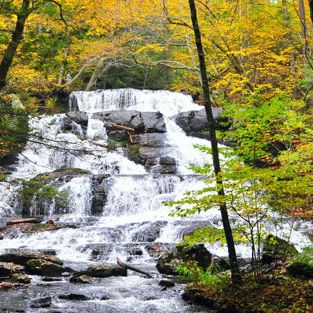 Hornbecks Creek / Indian Ladder Falls