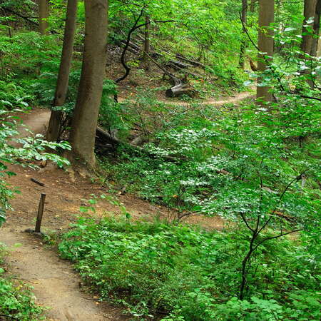 Hartshorne Woods County Park