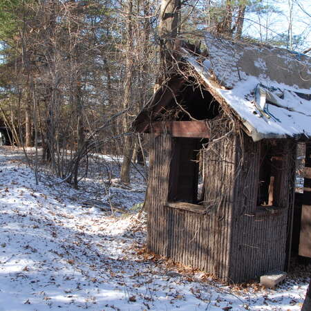 A cold walk through Jungle Habitat - 12/06/2007