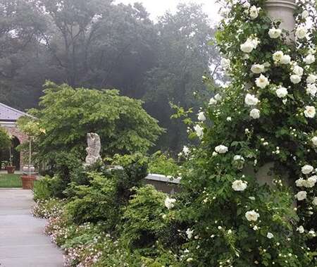 Greenwood Gardens