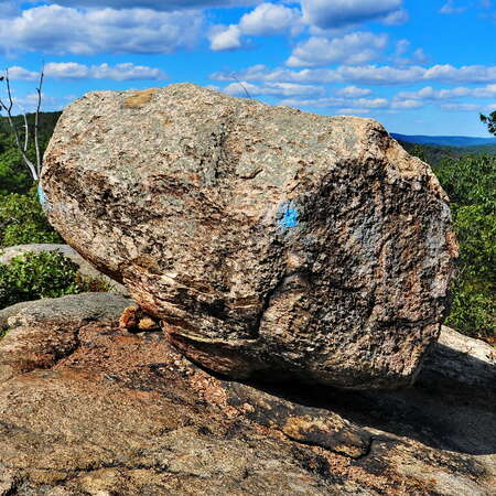 Norvin Green State Forest