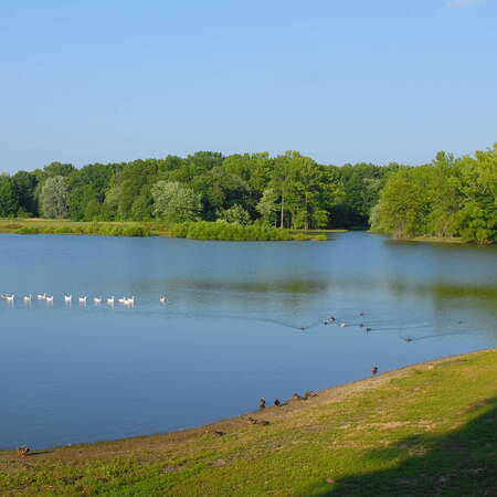 Hamilton Veterans Park