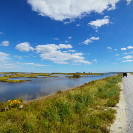 Edwin B. Forsythe National Wildlife Refuge