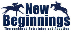 New Beginnings Thoroughbreds