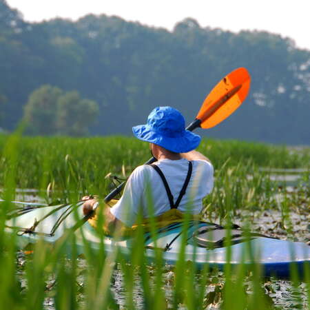 Assunpink Wildlife Management Area