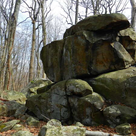 Sourlands - hiking the glacial erratics - 06/21/2012