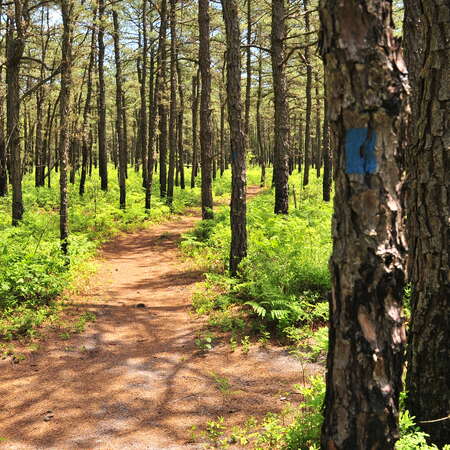 Jakes Branch County Park