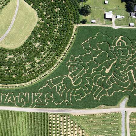 Alstede Farms