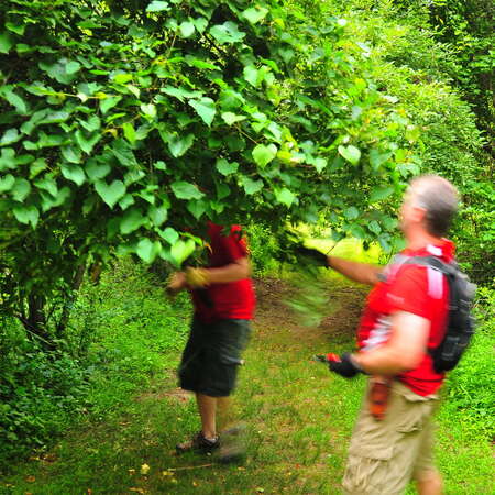 Trail Maintenance at Core Creek Park (PA/2010) - 04/09/2015