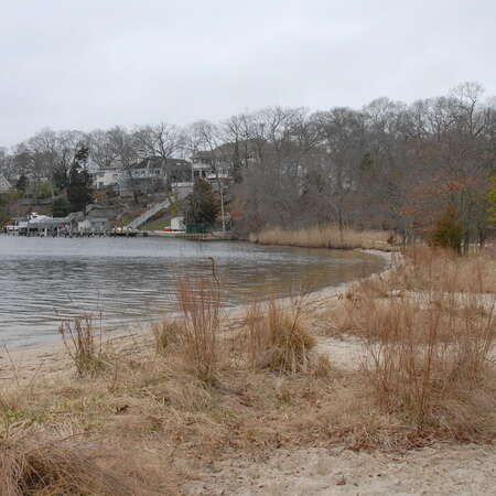 Brown's Woods Preserve