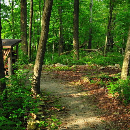 Photos Of: Teetertown Campground (Aug, 2014) - 08/04/2014