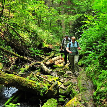 Tillman Ravine