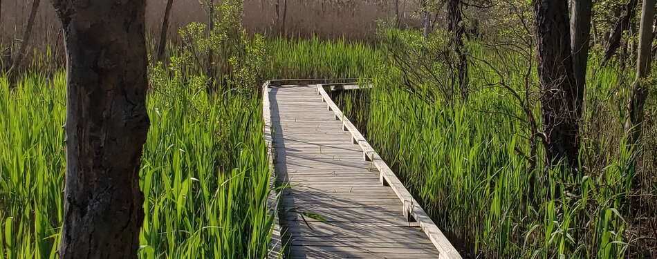 Places to walk near Brick, NJ