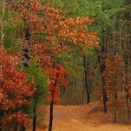Photos of: Winding River Park (fall 2009) - 04/08/2012