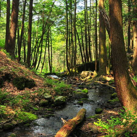 Photos of: Tillman Ravine - 04/05/2012