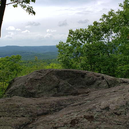 Ramapo Mountain State Forest