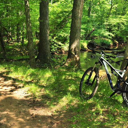 Allaire State Park