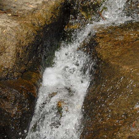 Photos of: Hacklebarney State Park -- Waterfalls / River - 06/27/2012