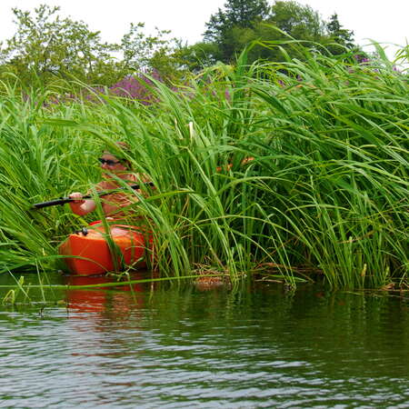 Photos Of: Forge Pond - General - 09/13/2012