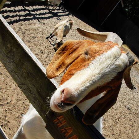 Popcorn Park Animal Refuge