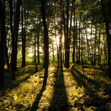 Mercer County Park