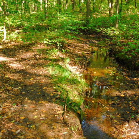 Middlesex County Parks & Recreation