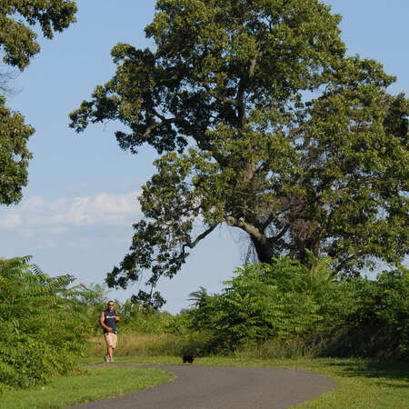 Dorbrook Recreation Area