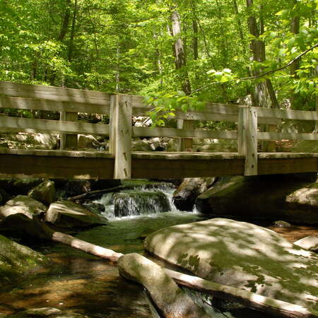 Hacklebarney State Park
