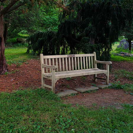 David C. Shaw Arboretum