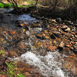 A Springtime Hike at Spruce Run ~2010 - 04/23/2024