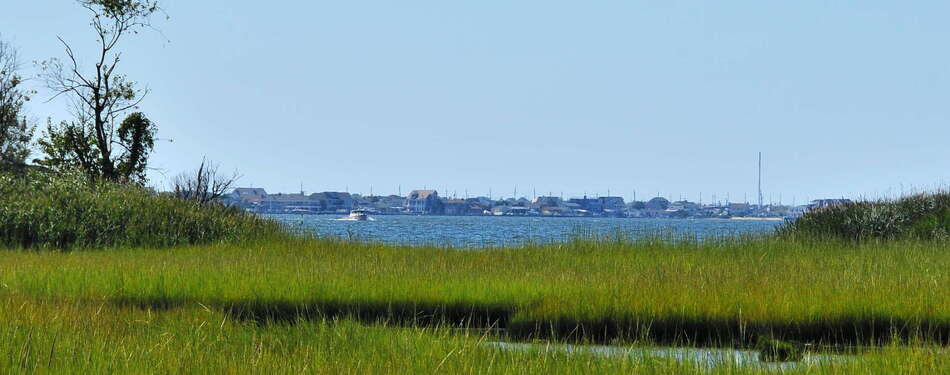 Post-Sandy Clean-Up to Begin at E.B. Forsythe NWR