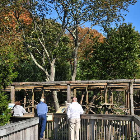Photos of: Cape May County Park and Zoo -- Grounds - 04/19/2012