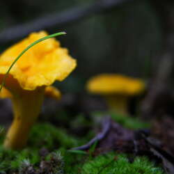 Have you visited the NJ Outdoor Map yet? You should...