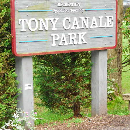 Photos Of: Tony Canale Park - 06/26/2009