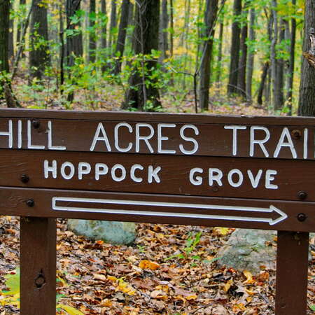 Photos Of: Voorhees State Park (fall, 2006) - 02/15/2014