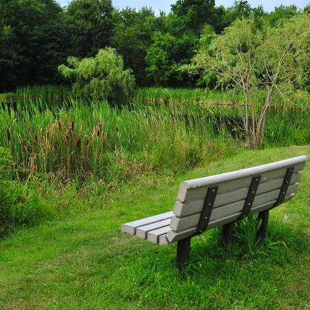 Teetertown Ravine Nature Preserve