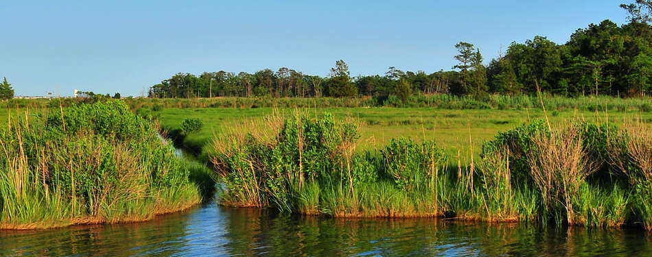 Photos of the week! May 19